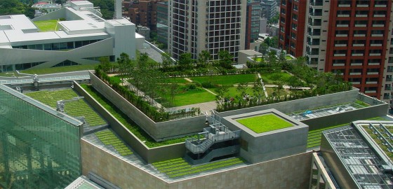 Green-Roofing-Systems