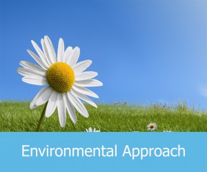 Environmental-Approach-policies-&-Process